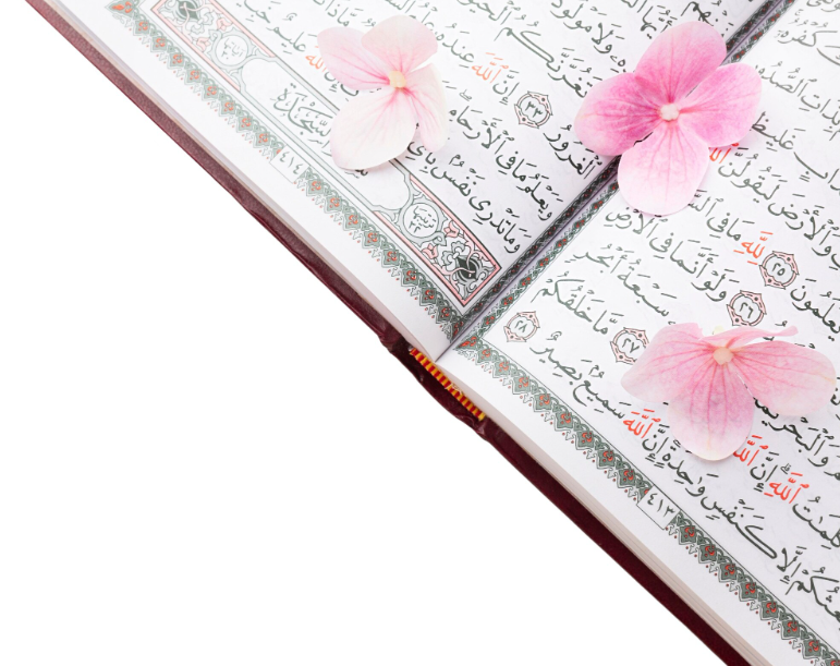 Tajweed vs Tarteel: What Is the Difference?